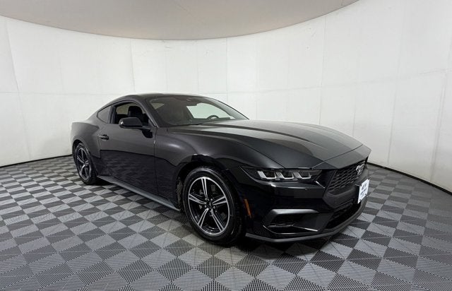 2024 Ford Mustang EcoBoost Fastback's photo